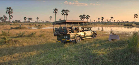 Photo of Okavango Delta