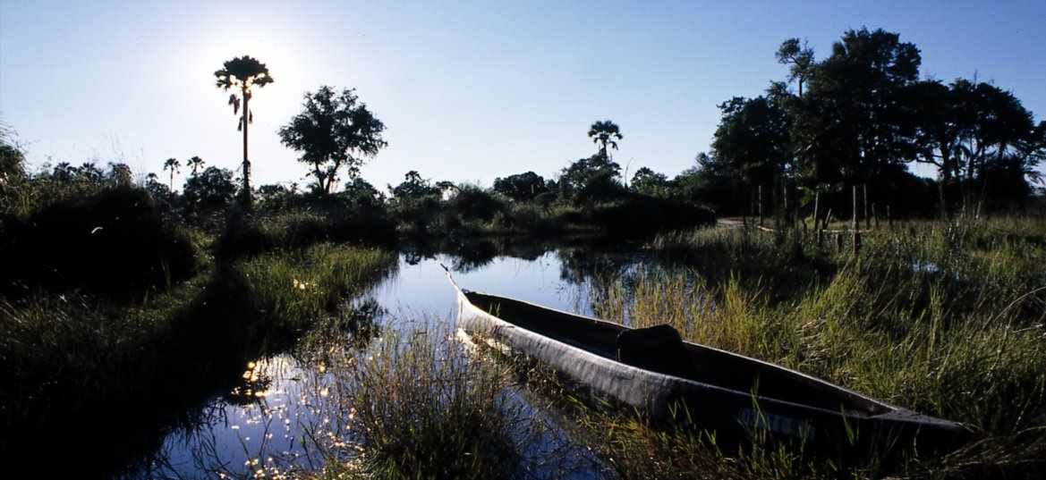 Photo of A Mokoro, the traditional hollowed-out tree trunk boat used by the Okavango people