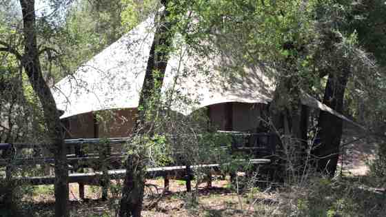 Photo of a tent suite