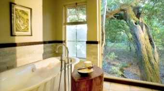 Bath in bathroom with large windows with a view on the forest outside