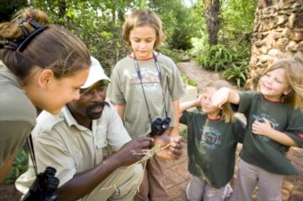 Kids play-learn about the bush with a child-mender