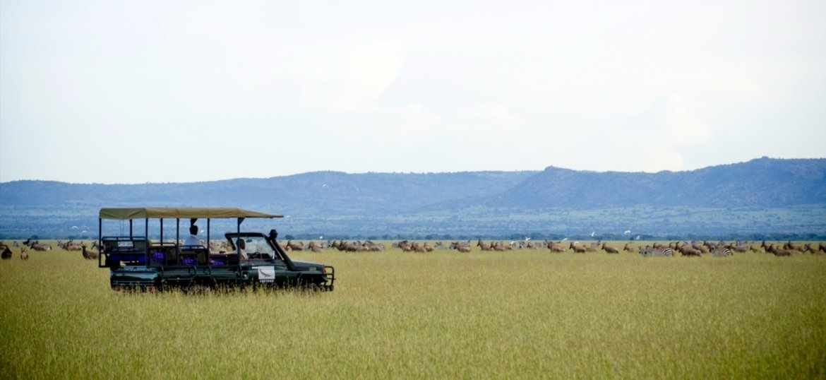 A safari jeep watching the migrating game.