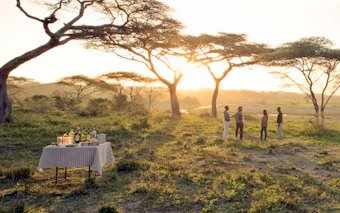 A picture of a dinner table laid out in the bush for a private dinner.