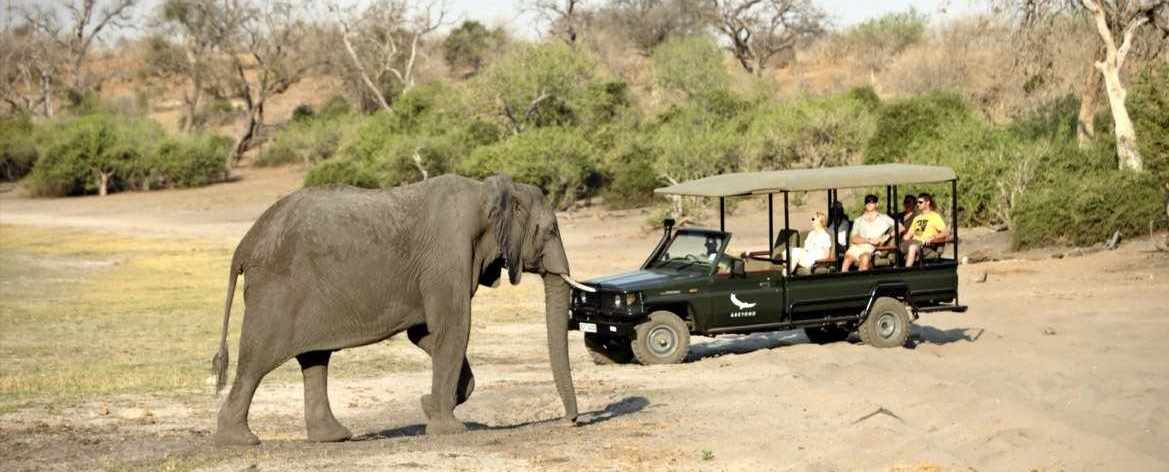 Glamping safari ride with elephants