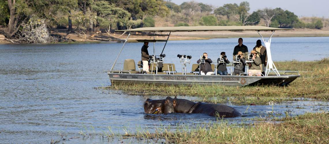 Photo of tourists in a boat watching a hippo in the Chobe River