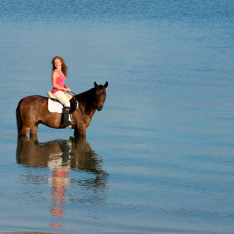 Photo of Horse Riding