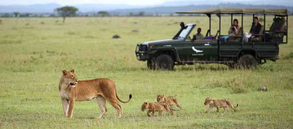 Picture of Tanzania luxury safari holidays